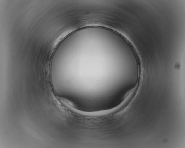 X0000112881145200909181842