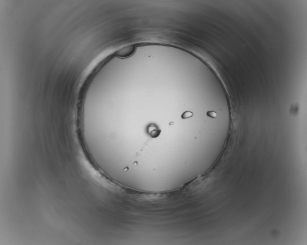 X0000112881147200909181842