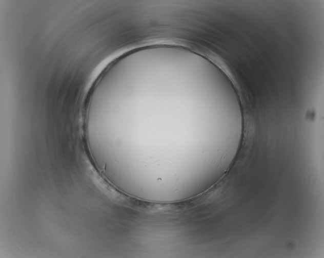 X0000112881148200909181842