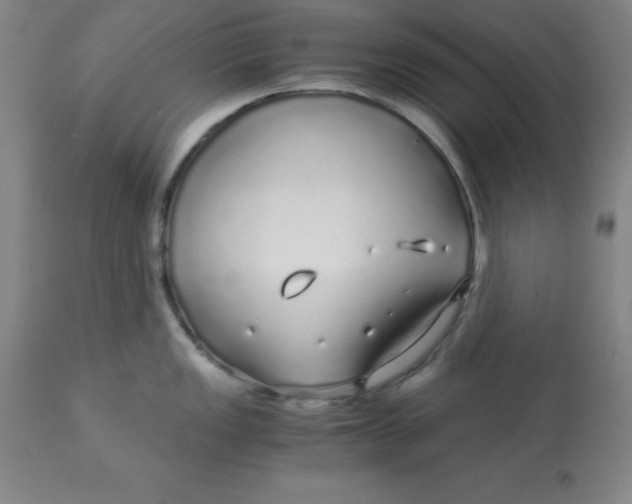 X0000112881149200909181842