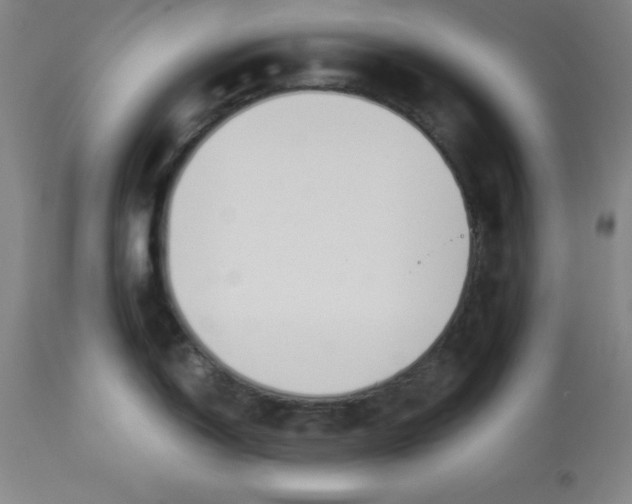 X0000112881150200909181842