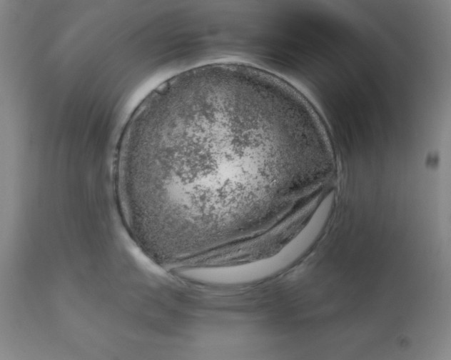 X0000112881151200909181842