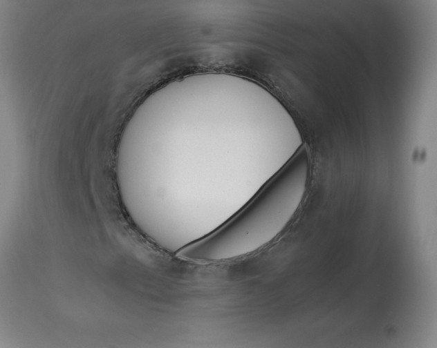 X0000112881153200909181841