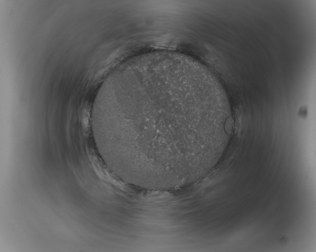 X0000112881154200909181841