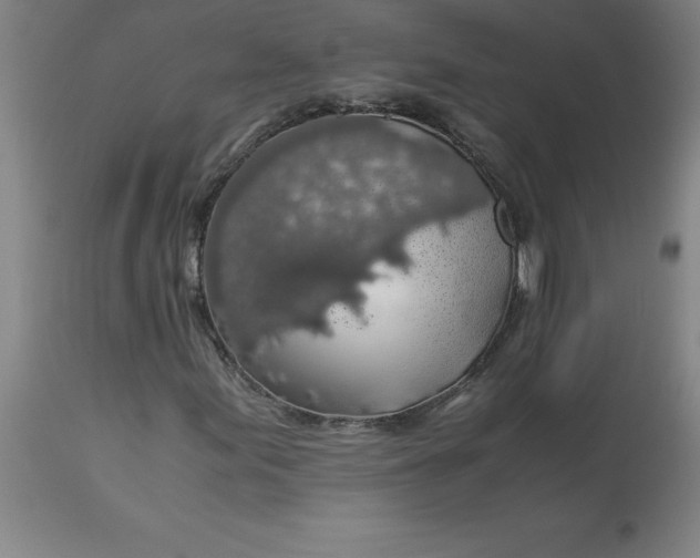 X0000112881155200909181841