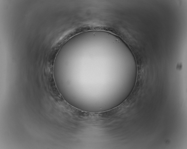 X0000112881157200909181841