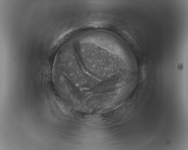 X0000112881158200909181841