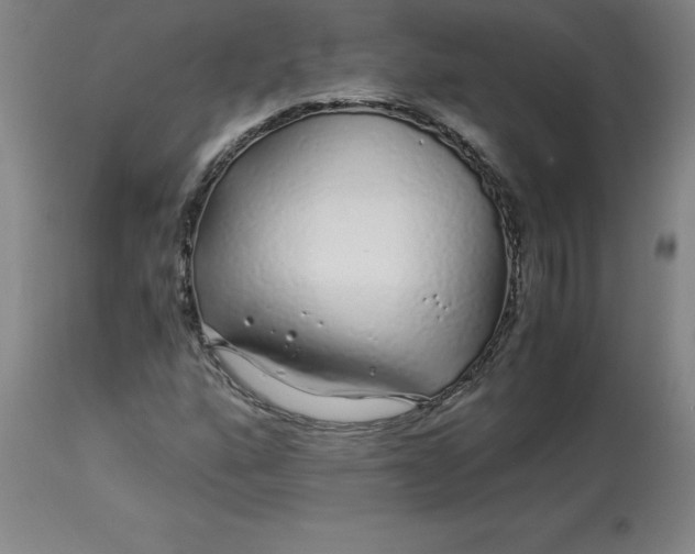 X0000112881160200909181841