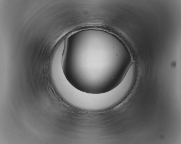 X0000112881162200909181841