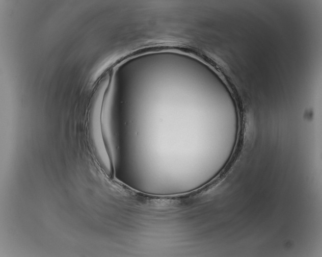 X0000112881163200909181841