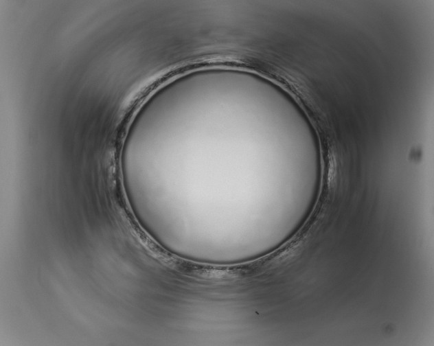 X0000112881164200909181841