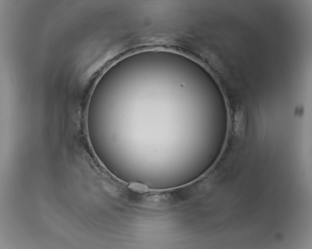 X0000112881165200909181841