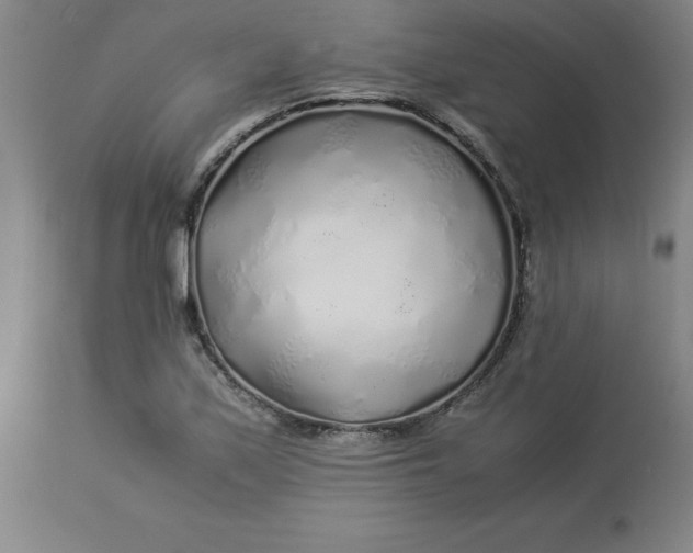 X0000112881171200909181841