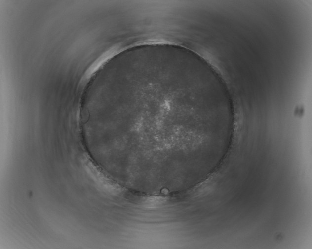 X0000112881173200909181841