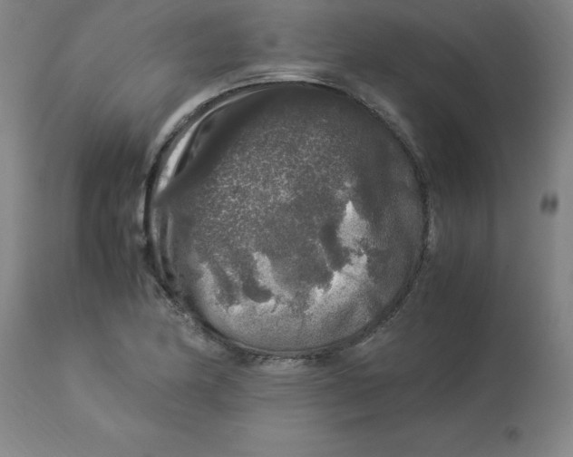 X0000112881174200909181841