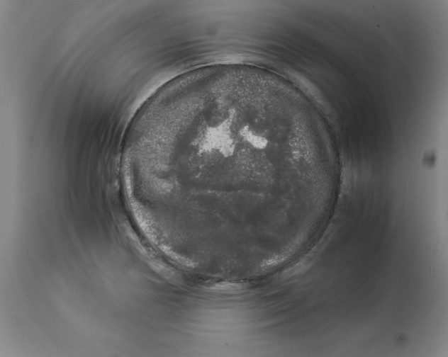 X0000112881178200909181841