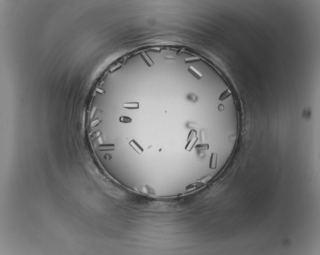 X0000112881179200909181841