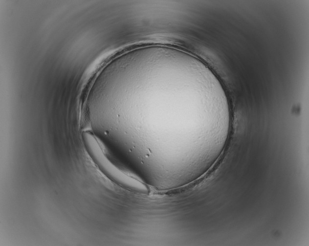 X0000112881180200909181841