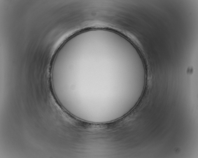 X0000112881183200909181841