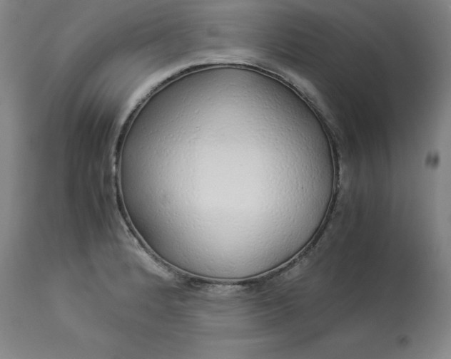 X0000112881184200909181841