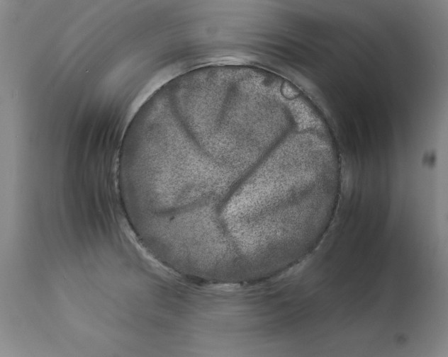 X0000112881186200909181841