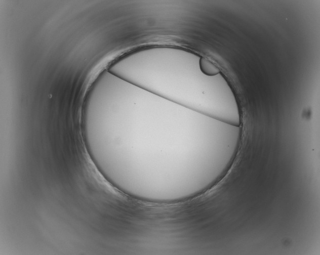 X0000112881188200909181841