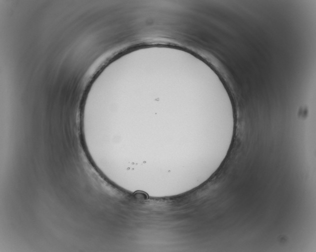 X0000112881191200909181841