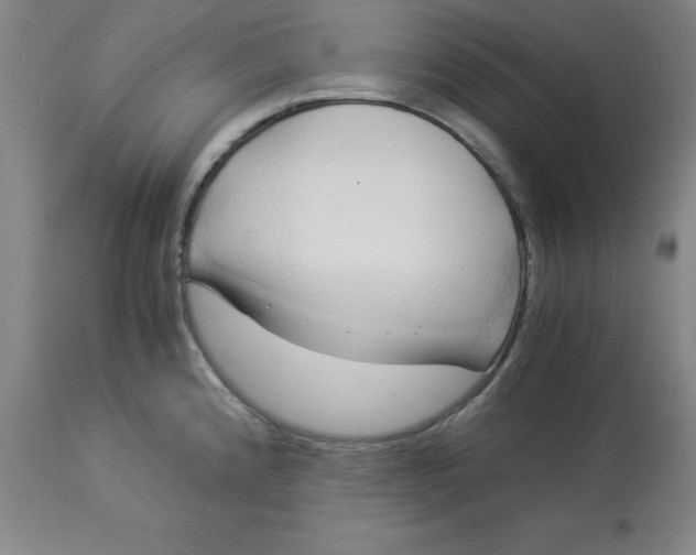 X0000112881192200909181841