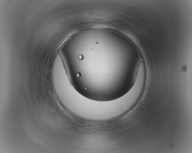 X0000112881193200909181841