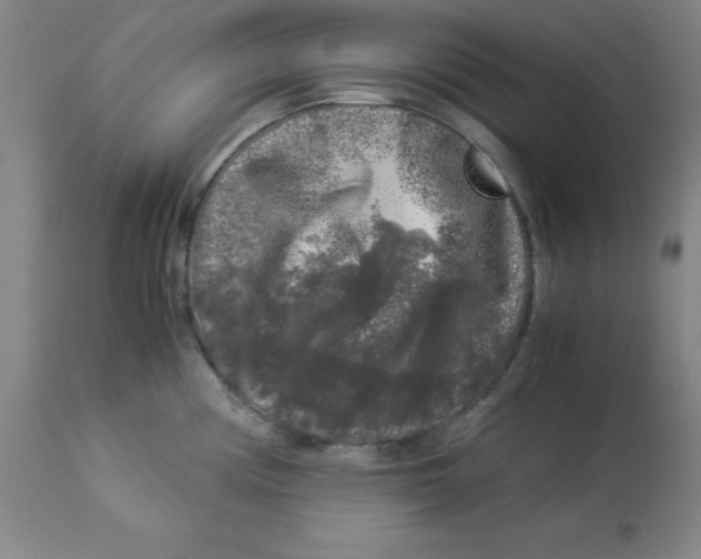 X0000112881194200909181841