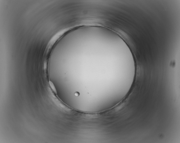 X0000112881196200909181841