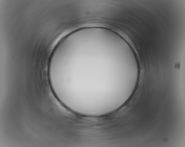 X0000112881197200909181841