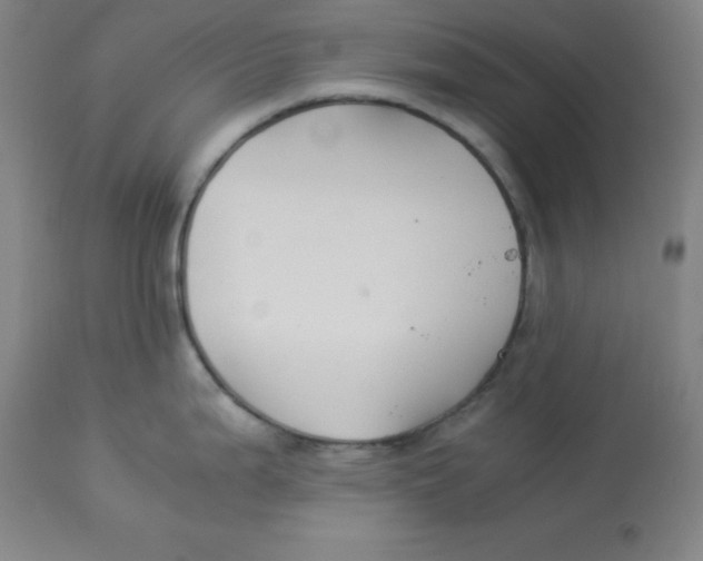 X0000112881199200909181841