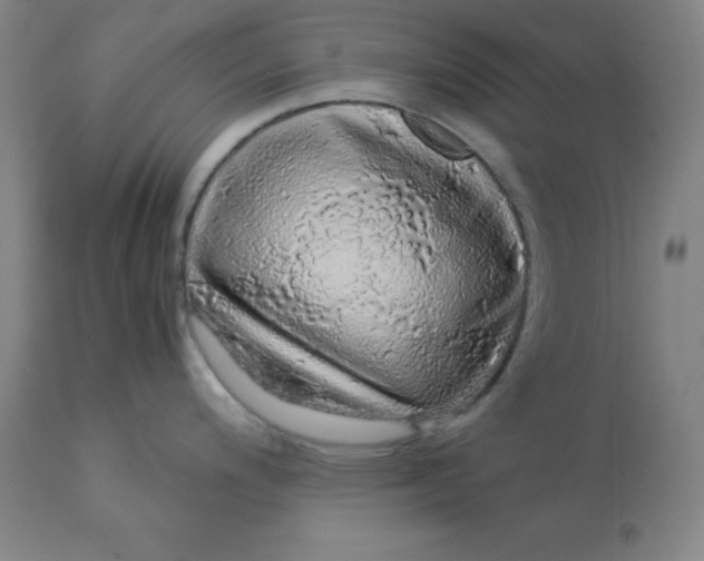 X0000112881200200909181841