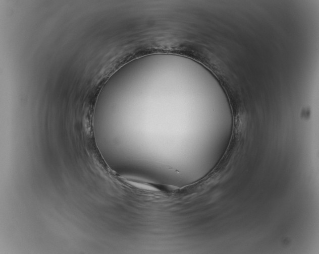 X0000112881202200909181840