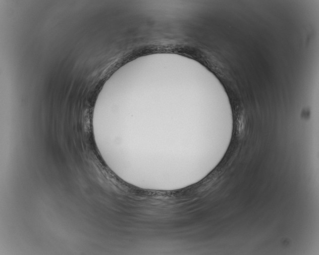 X0000112881204200909181840