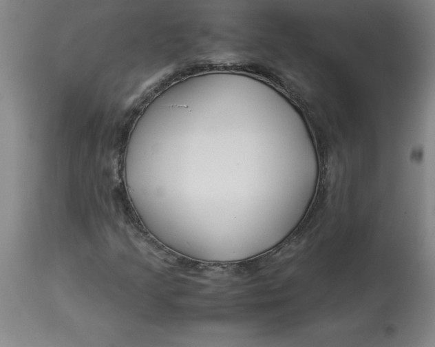 X0000112881205200909181840