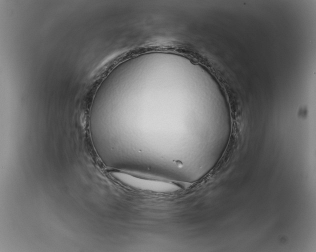 X0000112881206200909181840