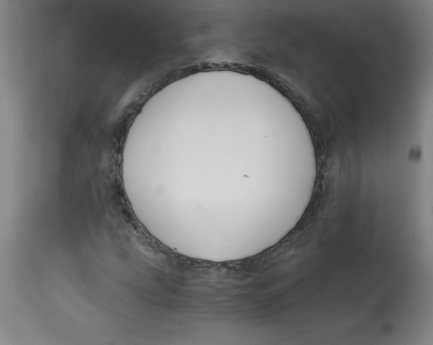 X0000112881207200909181840