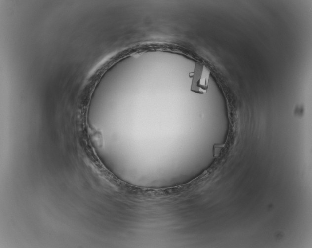 X0000112881208200909181840