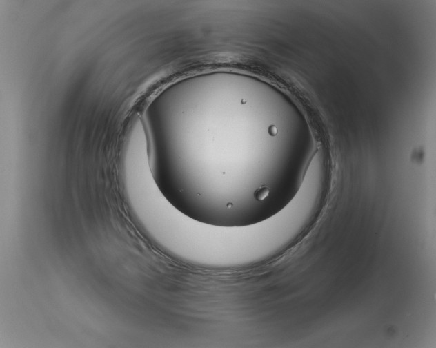 X0000112881210200909181840