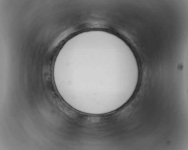 X0000112881211200909181840