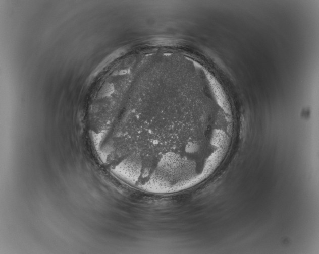 X0000112881213200909181840