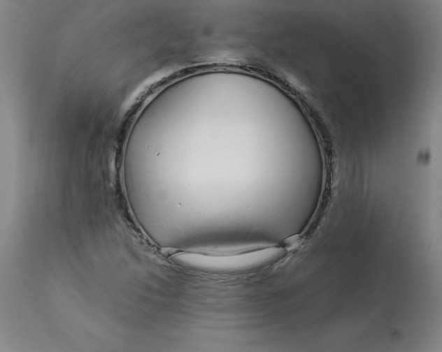 X0000112881214200909181840