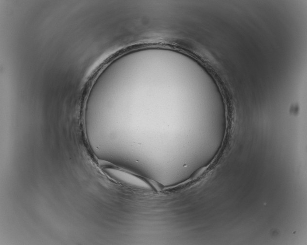 X0000112881216200909181840