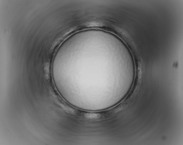 X0000112881217200909181840