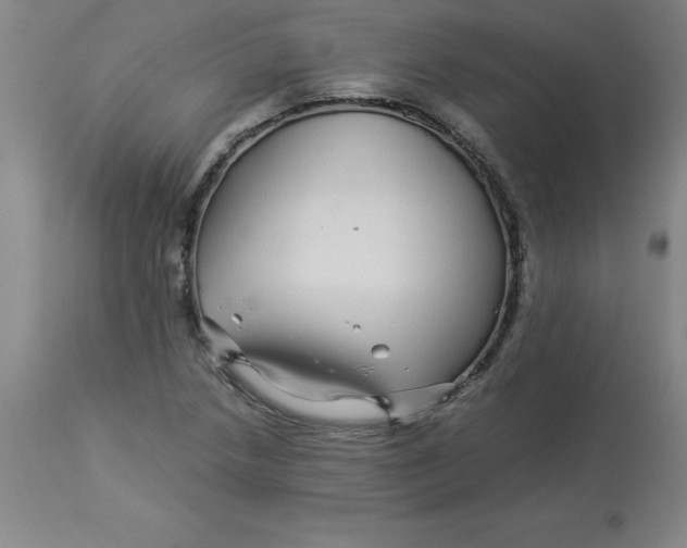 X0000112881218200909181840