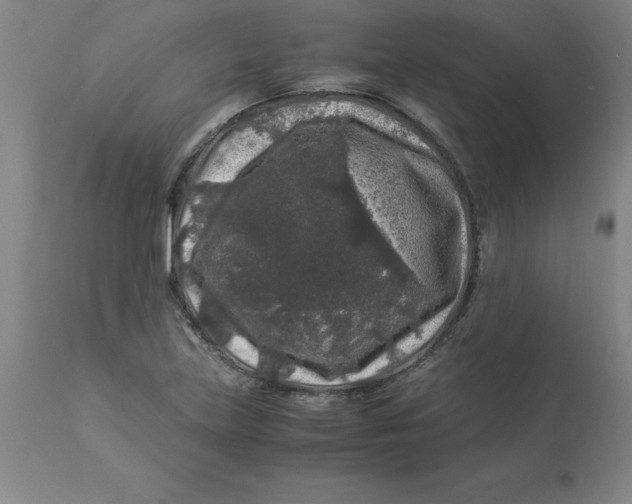 X0000112881219200909181840