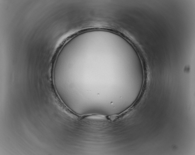 X0000112881222200909181840