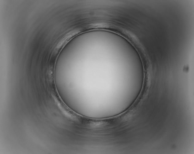 X0000112881225200909181840